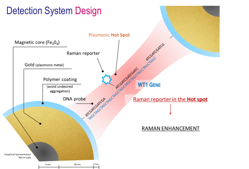 detection system design