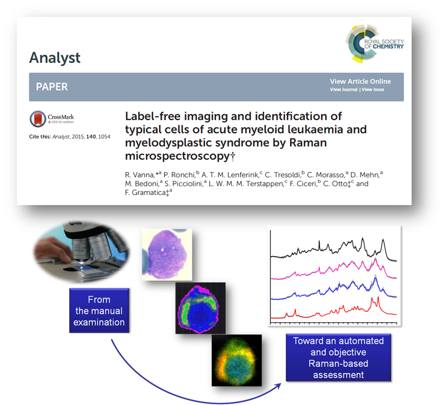 Analyst News