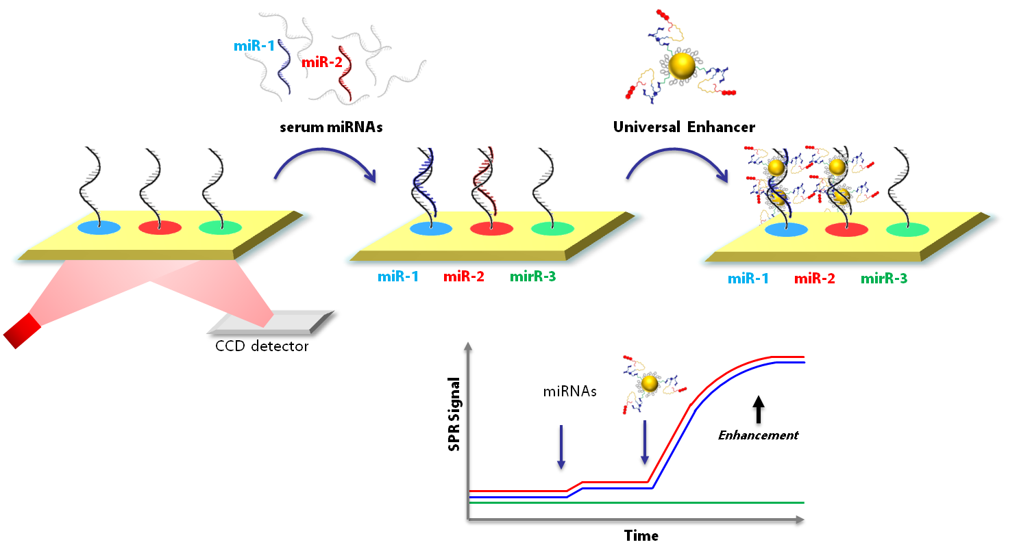 NanoPlasmiRNA_Project Scheme