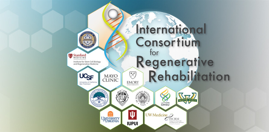 LABION is part of ICRR