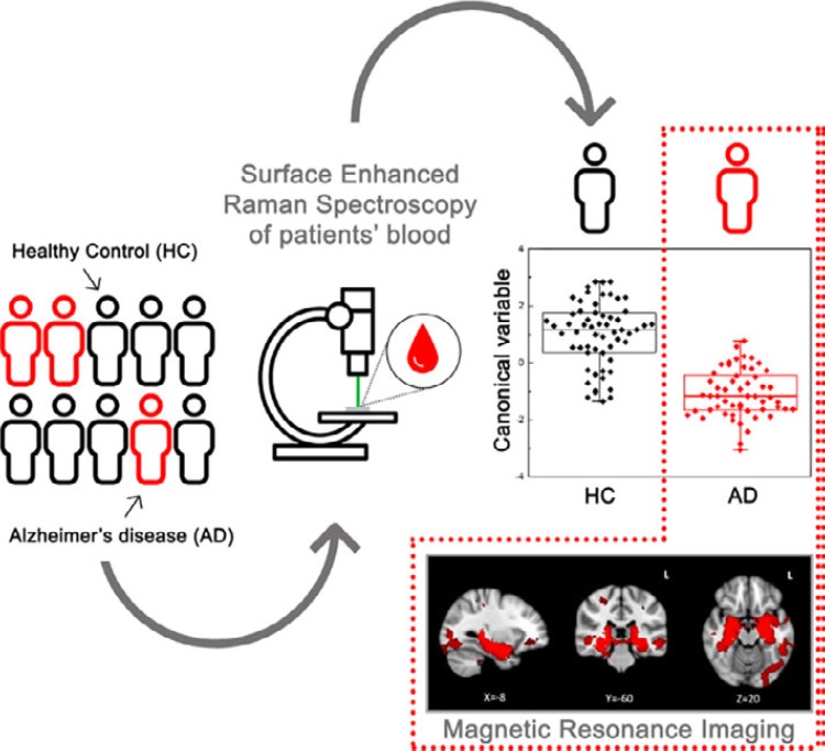 Labion SERS analysis published on Journal of Biophotonics